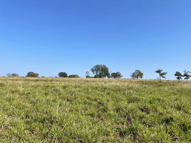 Fazenda de 187 alqueires em Quirinopolis-Go 