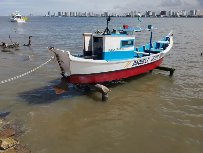Barco boca aberta à venda