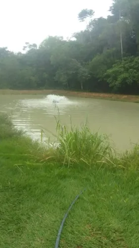 Sítio 250 x 1.000 na AM 010  km 127   205.800,00