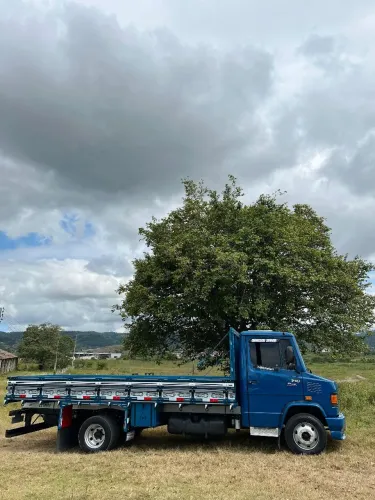 Mercedinha 710 longa 2010/2010