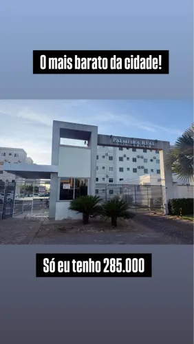 Palmeira Real Oportunidade 