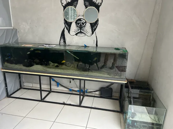 Aquário