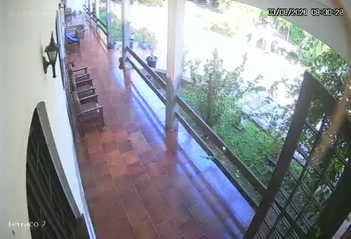 Precisa Empregada Domesticada