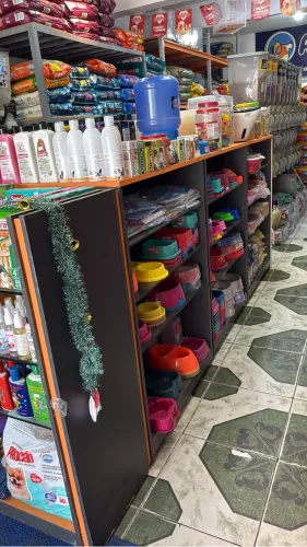 Ilha Expositor para comércio