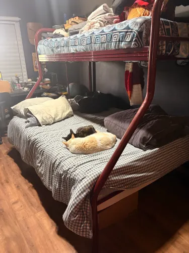Cama de casal com beliche