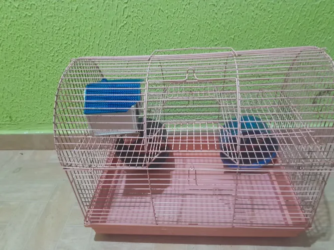 Gaiola de hamster, 2 andares