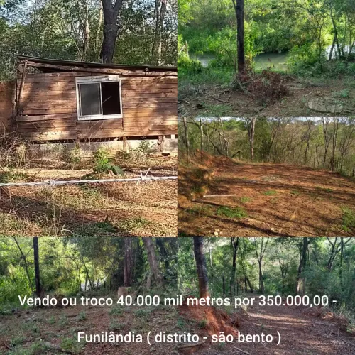 Vendo/troco lindo terreno com nascente, casinha de madeira e pomar.