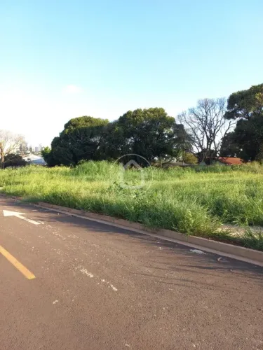 TERRENO NO BAIRRO SÃO FRANCISCO