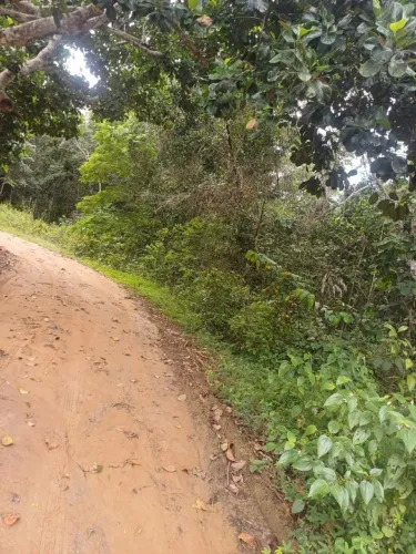 Terreno no km 8 estrada Manaus /Manacapuru
