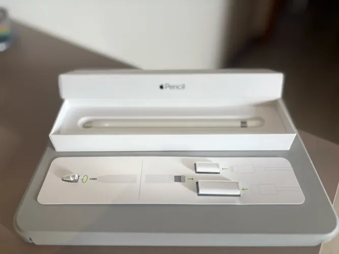 Apple Pencil 1ª geração 