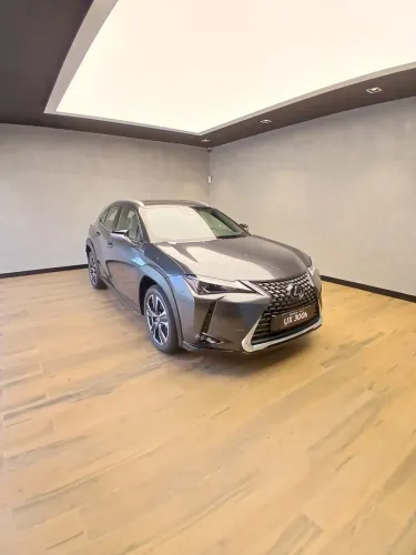 Lexus UX-300h 2.0 16V Aut. (híbrido) 2026