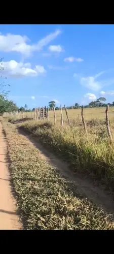 Terreno com 5 tarefas em São Simão, Coração de Maria