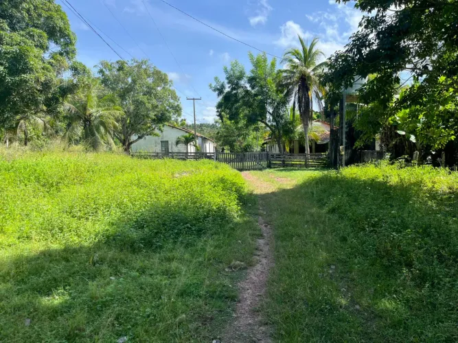 Fazenda 830 hectares