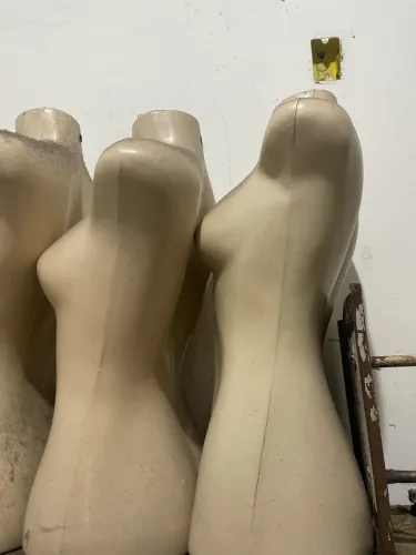 Busto