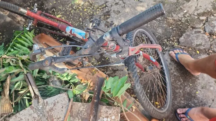 Bicicleta 