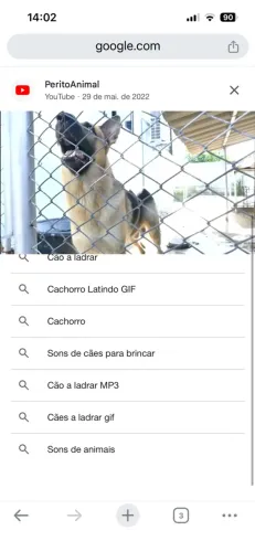 Aspirador de pó robô