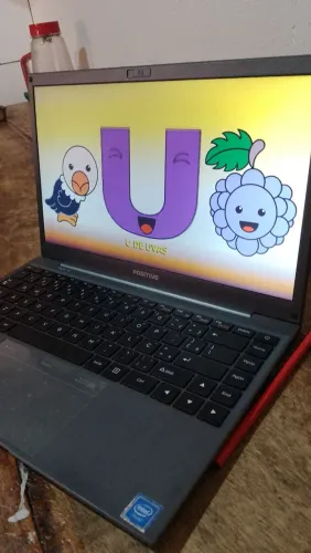 Notebook semi-novo,com tudo funcionando,marca positivo