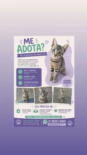 ADOÇÃO RESPONSÁVEL