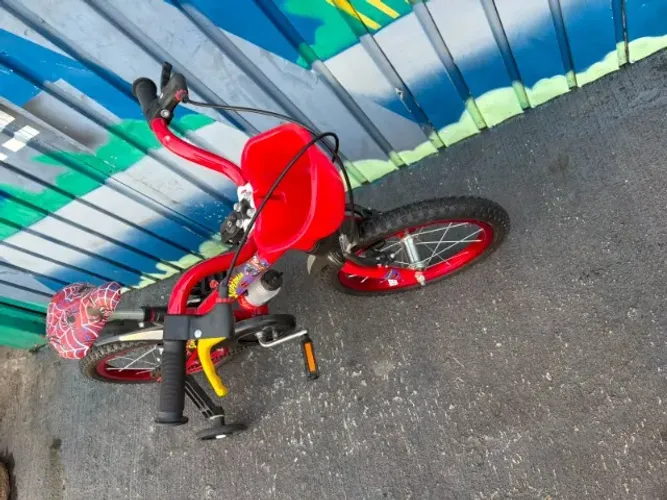 Bicicleta