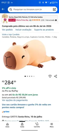 Candide, Pelúcia, Hug-A-Lumps, Capivara Connie 1,5kg