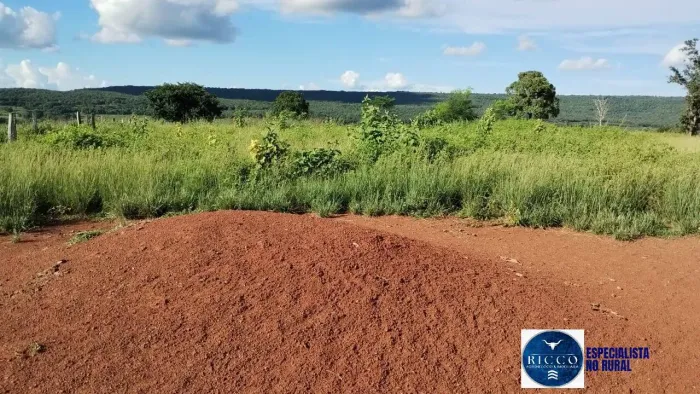 Fazenda Dupla Aptidão à venda em Montes Claros de Goiás, 144 Alqueires