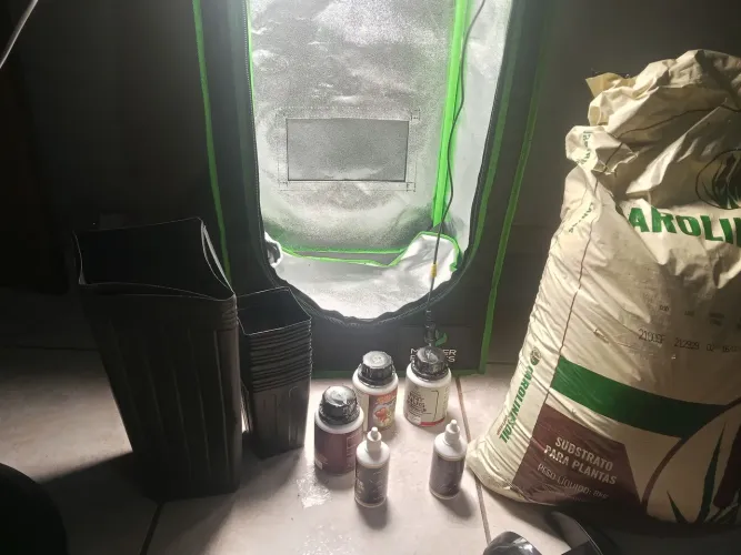 Para amantes da planta ?
