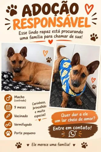 Doação