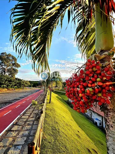 Terreno em Condominio em Amélia Rodrigues