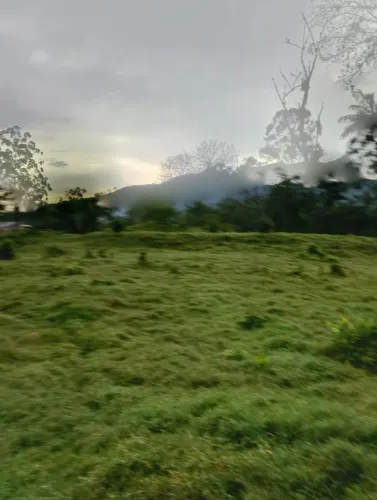 Excelente Oportunidade em Santo Amaro da Imperatriz