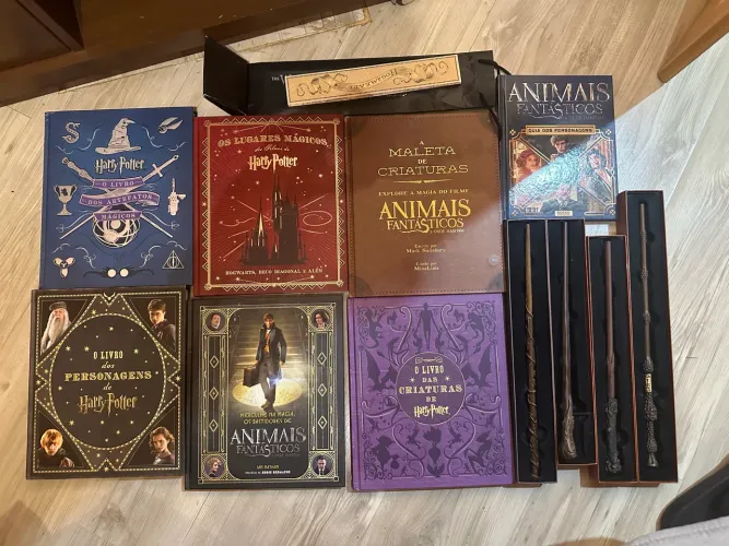 Kit Harry Potter Livros capa dura + Varinhas oficiais universal orlando