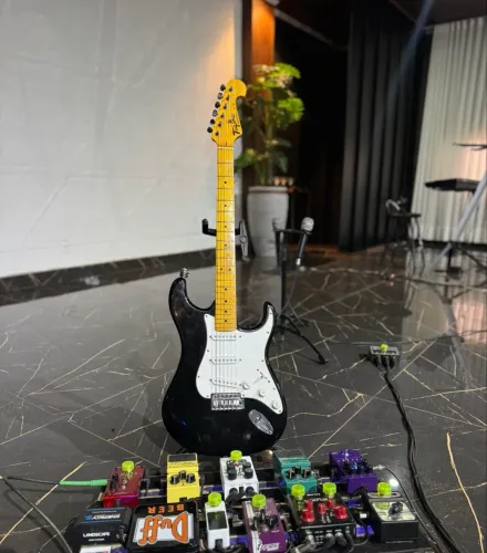 Guitarra tagima strato