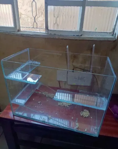 Aquário 42L