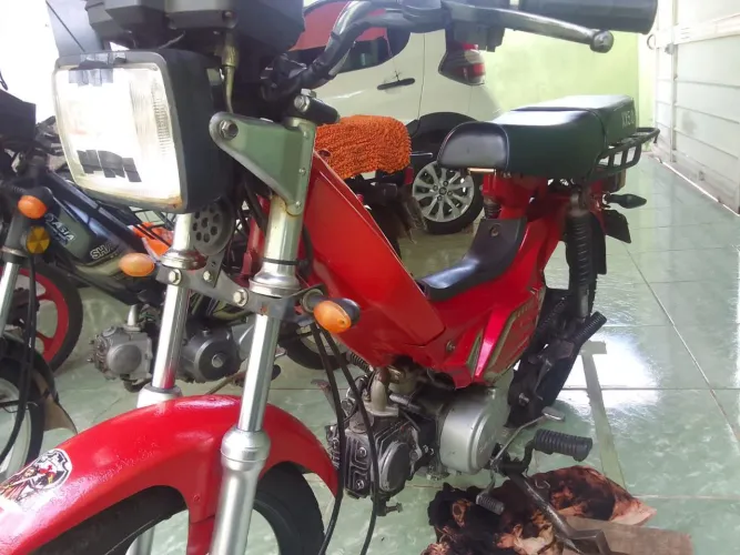 Vendo 50tinha Shiberay