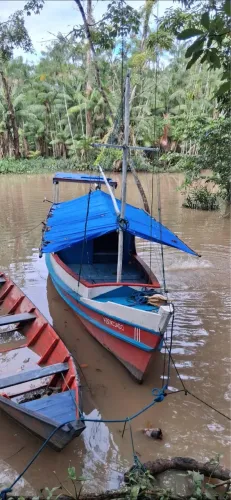 Vendo barco