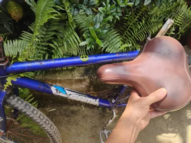 Bicicleta adulto
