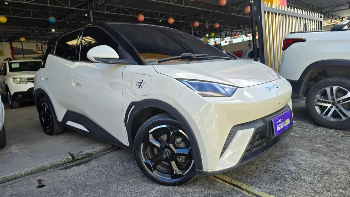 BYD Dolphin Mini (Elétrico) 2025