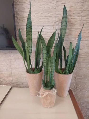 Jardinagem