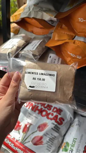 Semente de Limãozinho Bravo ( cerca viva ) 