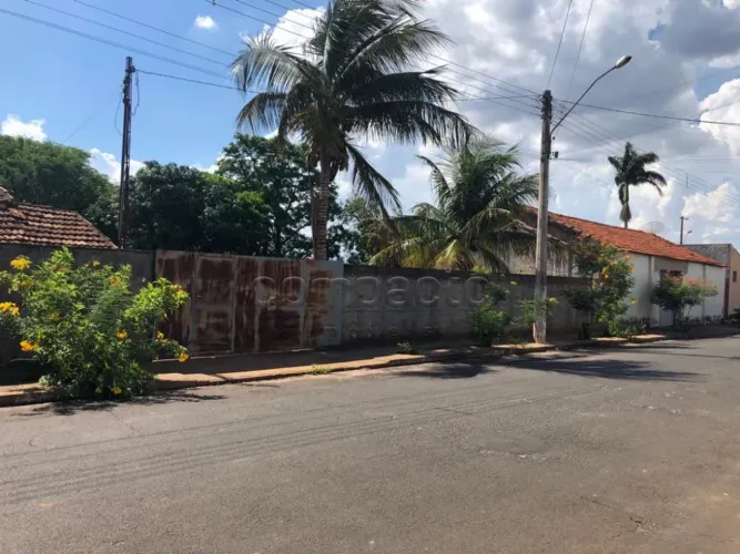 Terreno Padrão em Sales