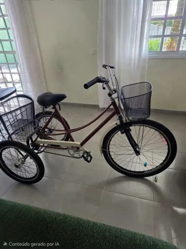 Bicicleta triciclo seminova