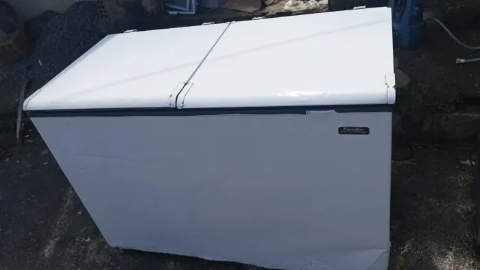 Freezer horizontal