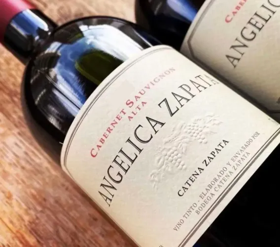 Angélica Zapata vinho Argentino