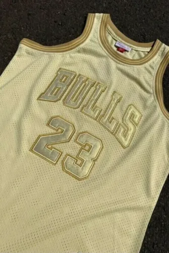 Camisa da Chicago Bulls Jordan 