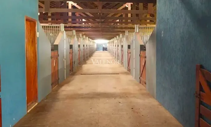 Haras alto padrão na região de Tatuí, SP