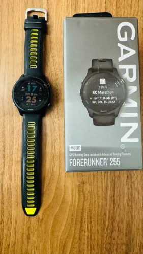 Garmin 255 music
