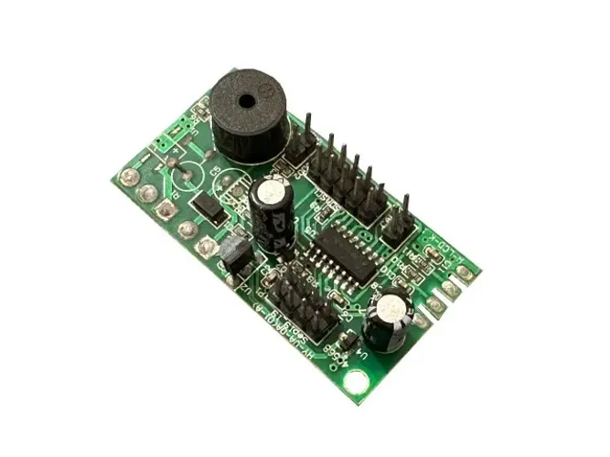 Placa de Balança Eletrônica LCD