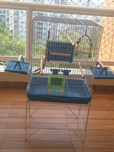 Gaiola para Calopsita Completa + Poleiros e Brinquedos - Ótimo Estado