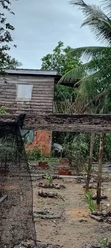 Vendo sítio na br 174 km 120 Em Presidente Figueiredo na Com Boa Esperança