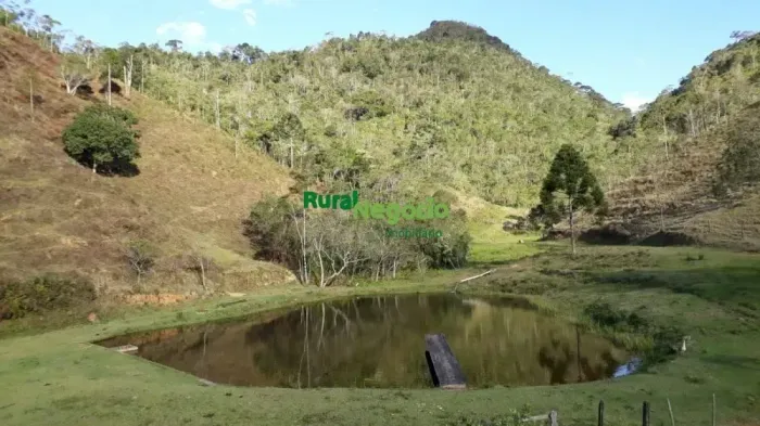 SÍTIO RICO EM ÁGUA E MATA NA PREDA SELADA EM RESENDE-RJ