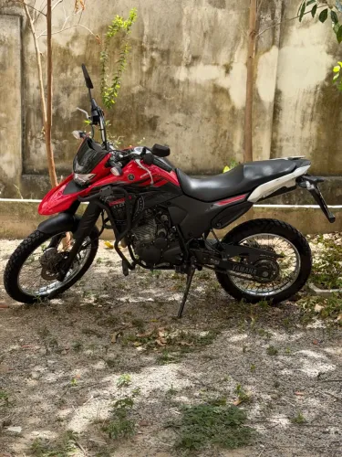 Yamaha XTZ 250 Lander 249cc/lander Blueflex 2024